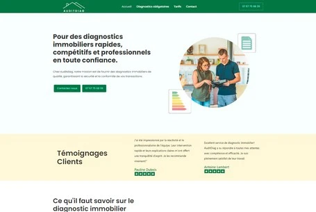 Audit Diag